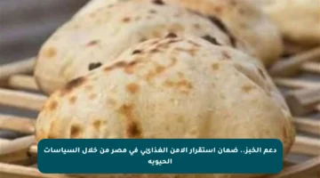 دعم الخبز.. ضمان استقرار الأمن الغذائي في مصر من خلال السياسات الحيوية